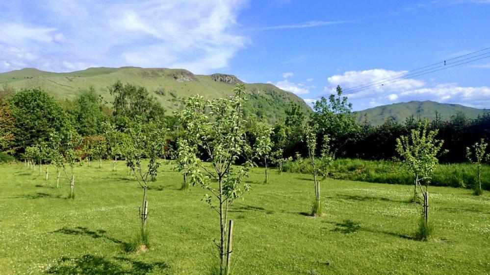 Balbeg Cottage Straiton المظهر الخارجي الصورة